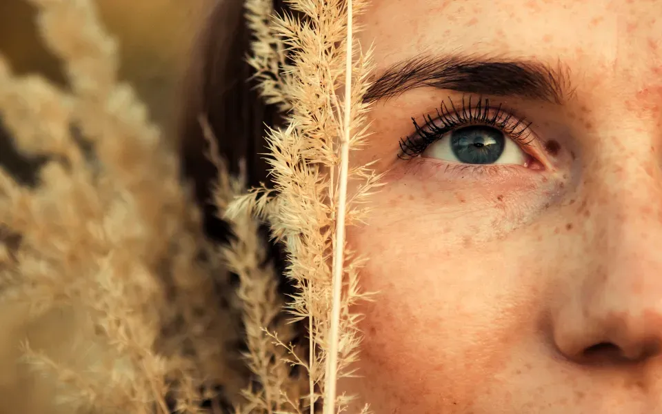 Description de l’image