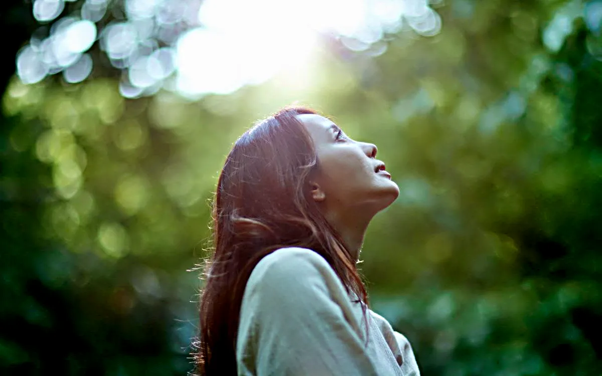 Description de l’image