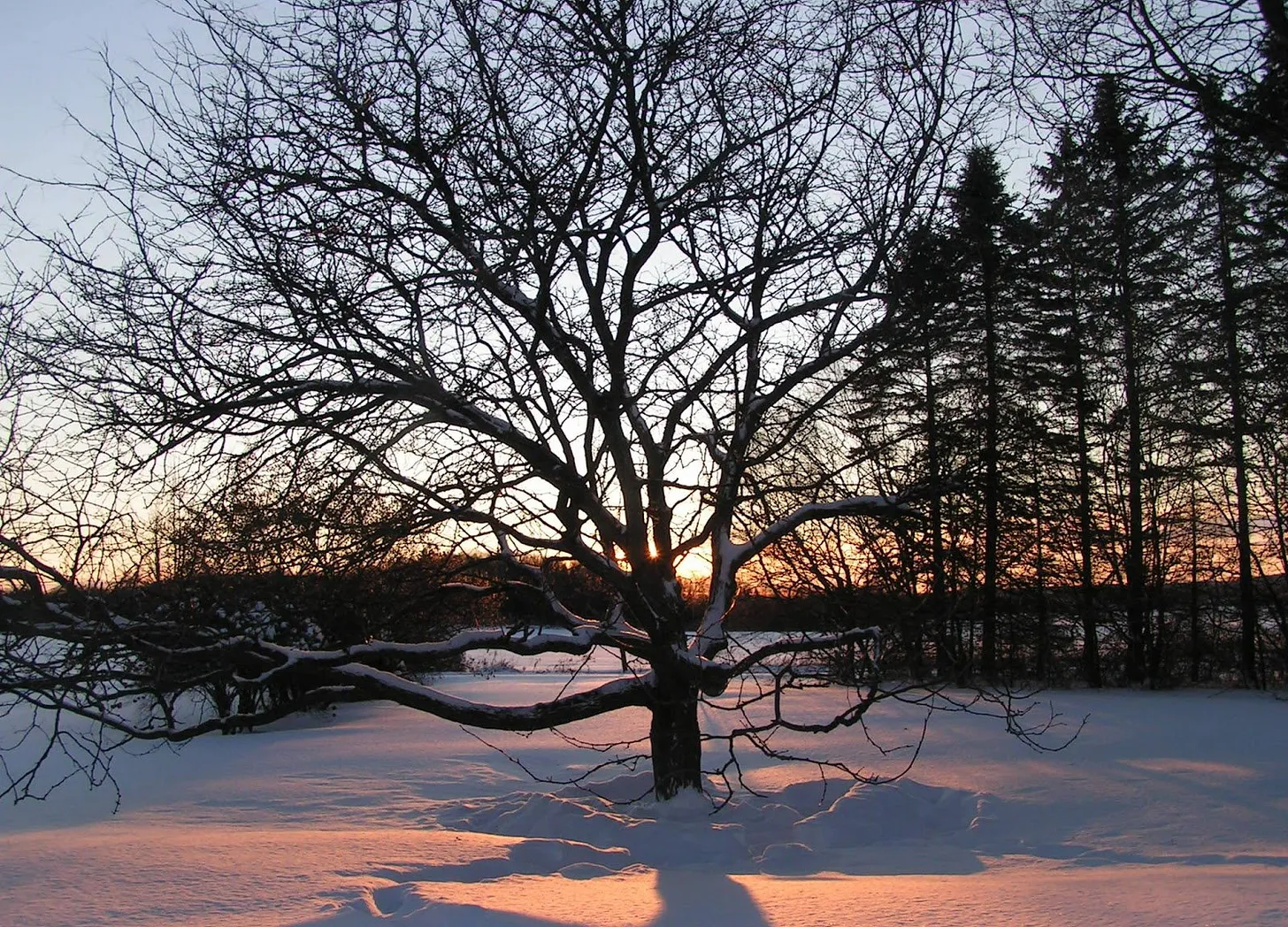 Description de l’image